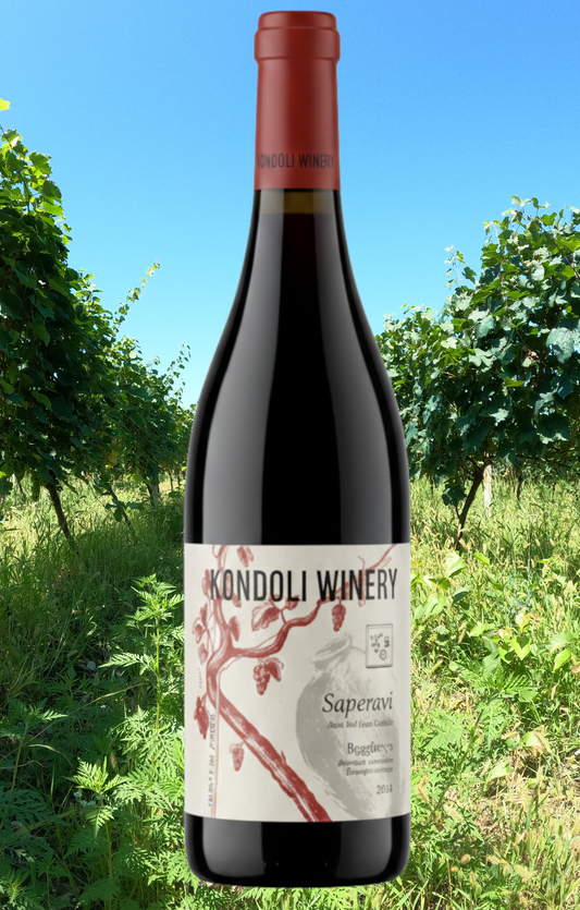 Saperavi 2024, Qvevriwein aus Georgien rot 0,75L